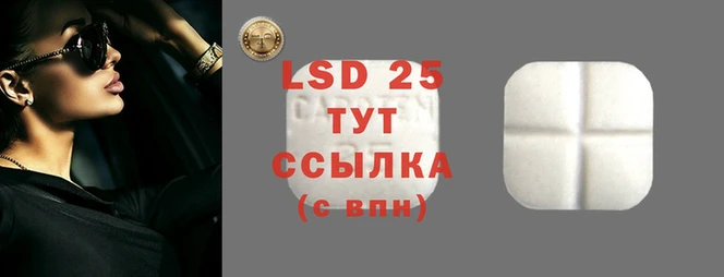твердый Аркадак