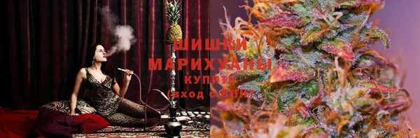 твердый Аркадак