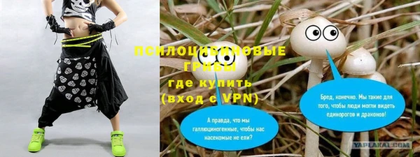 твердый Аркадак