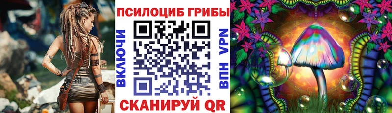 Галлюциногенные грибы Psilocybe  Купить  Петрозаводск 